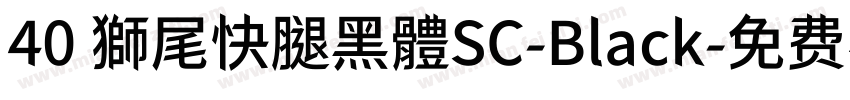40 獅尾快腿黑體SC-Black字体转换
